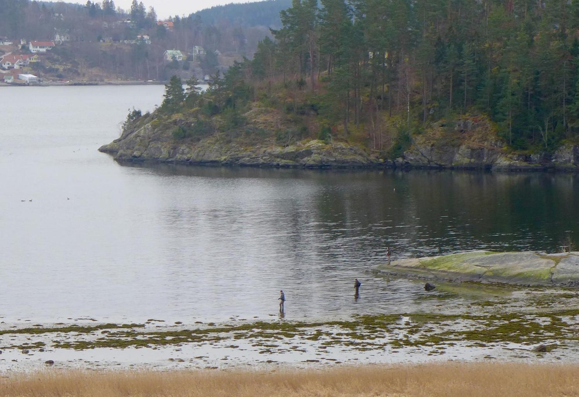 Riddarhuset Villa Ljungskile Exteriör bild
